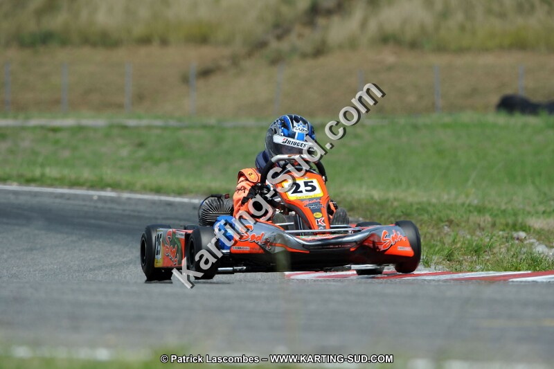DSC_ (448).jpg